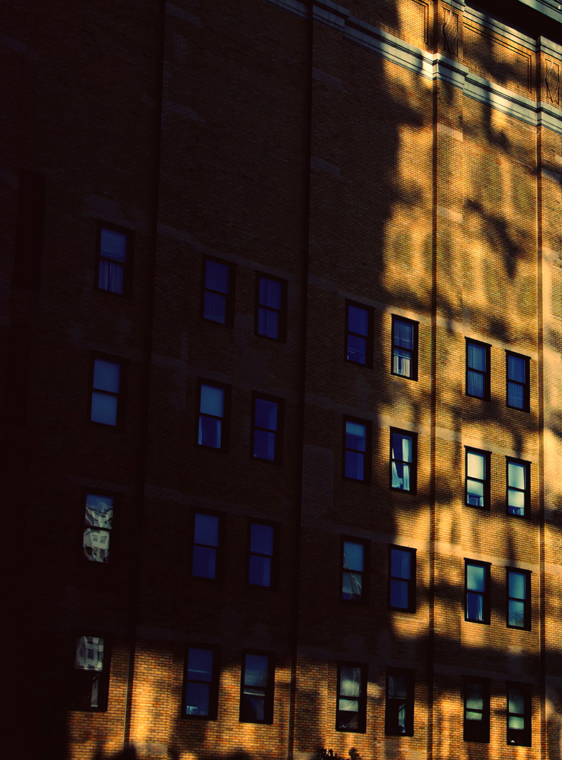 Margaux de fouchier Lightbeams Building.